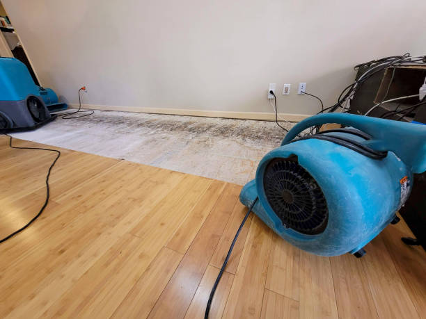 Professional Water Removal technician working in Newark, OH